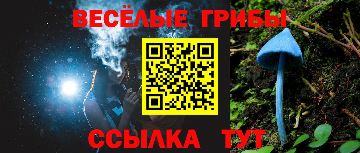 Галлюциногенные грибы ЛСД Йошкар-Ола
